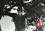 Standbild alliierten Soldaten Goodenough Island New Guinea, 1944, aus Sekunde 34 historischem Filmmaterial Videoclip 65675059609