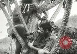 Image des soldats australiens dans la jungle Kokoda Nouvelle Guinée, 1942, de la seconde 41 séquences d'archives historiques vidéo 65675059614