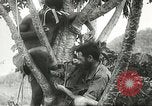 Image des soldats australiens dans la jungle Kokoda Nouvelle Guinée, 1942, de la seconde 42 séquences d'archives historiques vidéo 65675059614