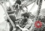 Image des soldats australiens dans la jungle Kokoda Nouvelle Guinée, 1942, de la seconde 43 séquences d'archives historiques vidéo 65675059614