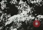 Image des soldats australiens dans la jungle Kokoda Nouvelle Guinée, 1942, de la seconde 48 séquences d'archives historiques vidéo 65675059614