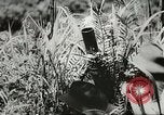 Image des soldats australiens dans la jungle Kokoda Nouvelle Guinée, 1942, de la seconde 55 séquences d'archives historiques vidéo 65675059614
