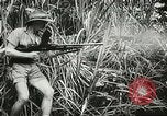 Image des soldats australiens dans la jungle Kokoda Nouvelle Guinée, 1942, de la seconde 57 séquences d'archives historiques vidéo 65675059614