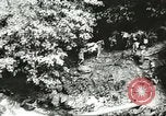 Image Australien blessé soldats au front pendant Seconde Guerre Mondiale Kokoda Nouvelle Guinée, 1942, de la seconde 53 séquences d'archives historiques vidéo 65675059615