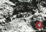 Image Australien blessé soldats au front pendant Seconde Guerre Mondiale Kokoda Nouvelle Guinée, 1942, de la seconde 55 séquences d'archives historiques vidéo 65675059615