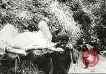 Image Australien blessé soldats au front pendant Seconde Guerre Mondiale Kokoda Nouvelle Guinée, 1942, de la seconde 61 séquences d'archives historiques vidéo 65675059615