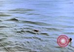 Image of USS Springer Pacific Theater, 1945, second 61 stock footage video 65675059620