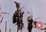 Image of United States Marines Guam Mariana Islands, 1944, second 6 stock footage video 65675059623