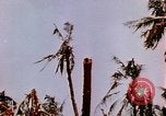 Image of United States Marines Guam Mariana Islands, 1944, second 9 stock footage video 65675059623