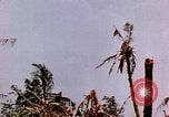 Image of United States Marines Guam Mariana Islands, 1944, second 10 stock footage video 65675059623
