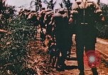 Image of United States Marines Guam Mariana Islands, 1944, second 29 stock footage video 65675059623