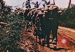 Image of United States Marines Guam Mariana Islands, 1944, second 30 stock footage video 65675059623
