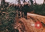 Image of United States Marines Guam Mariana Islands, 1944, second 34 stock footage video 65675059623