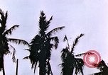 Image of United States Marines Guam Mariana Islands, 1944, second 15 stock footage video 65675059624