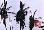 Image of United States Marines Guam Mariana Islands, 1944, second 22 stock footage video 65675059624