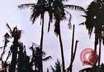 Image of United States Marines Guam Mariana Islands, 1944, second 24 stock footage video 65675059624