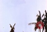Image of United States Marines Guam Mariana Islands, 1944, second 27 stock footage video 65675059624