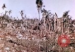 Image of United States Marines Guam Mariana Islands, 1944, second 36 stock footage video 65675059624