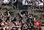 Image of United States Marines Guam Mariana Islands, 1944, second 49 stock footage video 65675059624