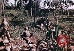 Image of United States Marines Guam Mariana Islands, 1944, second 50 stock footage video 65675059624