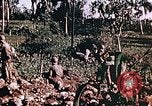 Image of United States Marines Guam Mariana Islands, 1944, second 51 stock footage video 65675059624