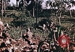 Image of United States Marines Guam Mariana Islands, 1944, second 52 stock footage video 65675059624
