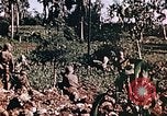 Image of United States Marines Guam Mariana Islands, 1944, second 55 stock footage video 65675059624
