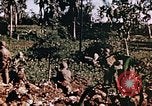 Image of United States Marines Guam Mariana Islands, 1944, second 57 stock footage video 65675059624