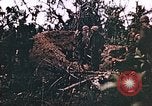 Image of United States Marines Guam Mariana Islands, 1944, second 36 stock footage video 65675059625