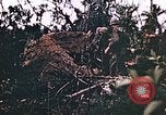 Image of United States Marines Guam Mariana Islands, 1944, second 37 stock footage video 65675059625