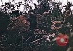 Image of United States Marines Guam Mariana Islands, 1944, second 38 stock footage video 65675059625