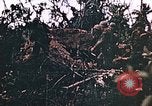 Image of United States Marines Guam Mariana Islands, 1944, second 39 stock footage video 65675059625