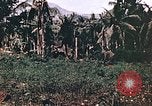Image of United States Marines Guam Mariana Islands, 1944, second 40 stock footage video 65675059625