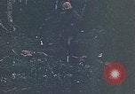 Image of United States Marines Guam Mariana Islands, 1944, second 47 stock footage video 65675059625