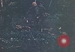 Image of United States Marines Guam Mariana Islands, 1944, second 52 stock footage video 65675059625