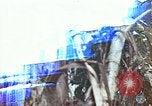 Image of United States Marines Saipan Northern Mariana Islands, 1944, second 1 stock footage video 65675059630
