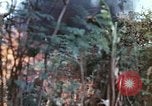 Image of United States Marines Saipan Northern Mariana Islands, 1944, second 4 stock footage video 65675059630