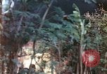 Image of United States Marines Saipan Northern Mariana Islands, 1944, second 5 stock footage video 65675059630