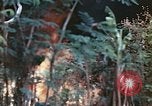 Image of United States Marines Saipan Northern Mariana Islands, 1944, second 7 stock footage video 65675059630