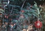 Image of United States Marines Saipan Northern Mariana Islands, 1944, second 12 stock footage video 65675059630