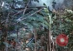 Image of United States Marines Saipan Northern Mariana Islands, 1944, second 13 stock footage video 65675059630