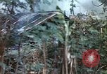 Image of United States Marines Saipan Northern Mariana Islands, 1944, second 14 stock footage video 65675059630