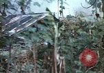 Image of United States Marines Saipan Northern Mariana Islands, 1944, second 15 stock footage video 65675059630