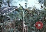 Image of United States Marines Saipan Northern Mariana Islands, 1944, second 16 stock footage video 65675059630