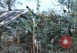 Image of United States Marines Saipan Northern Mariana Islands, 1944, second 17 stock footage video 65675059630