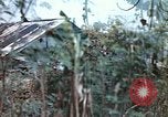 Image of United States Marines Saipan Northern Mariana Islands, 1944, second 18 stock footage video 65675059630