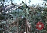 Image of United States Marines Saipan Northern Mariana Islands, 1944, second 19 stock footage video 65675059630