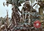 Image of United States Marines Saipan Northern Mariana Islands, 1944, second 21 stock footage video 65675059630