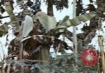 Image of United States Marines Saipan Northern Mariana Islands, 1944, second 22 stock footage video 65675059630