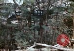 Image of United States Marines Saipan Northern Mariana Islands, 1944, second 26 stock footage video 65675059630